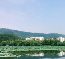 桃子湖