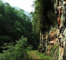 乌龙国家级森林公园