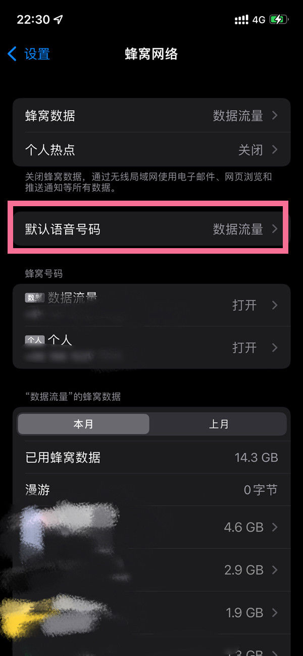  iphone13pro默认语音号码设置方法